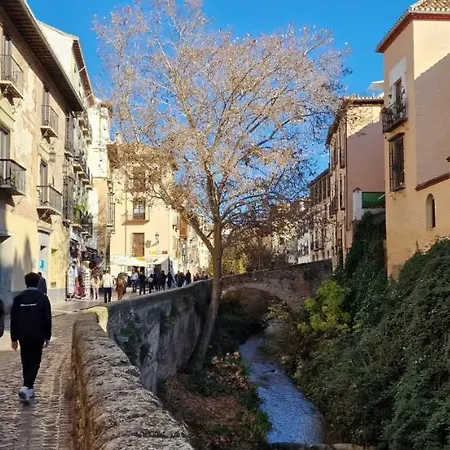 Patrimonio Arabe Vista A La Alhambra * Granada